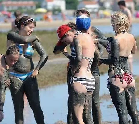 Coleum Apartman Poljica (Zadar)