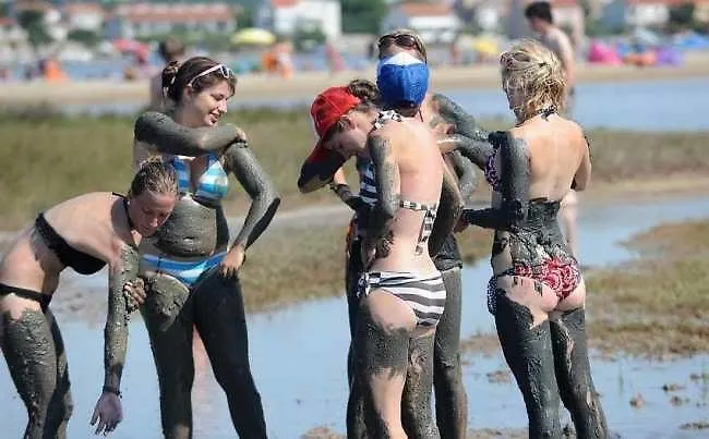 Coleum Апартаменты Poljica (Zadar)